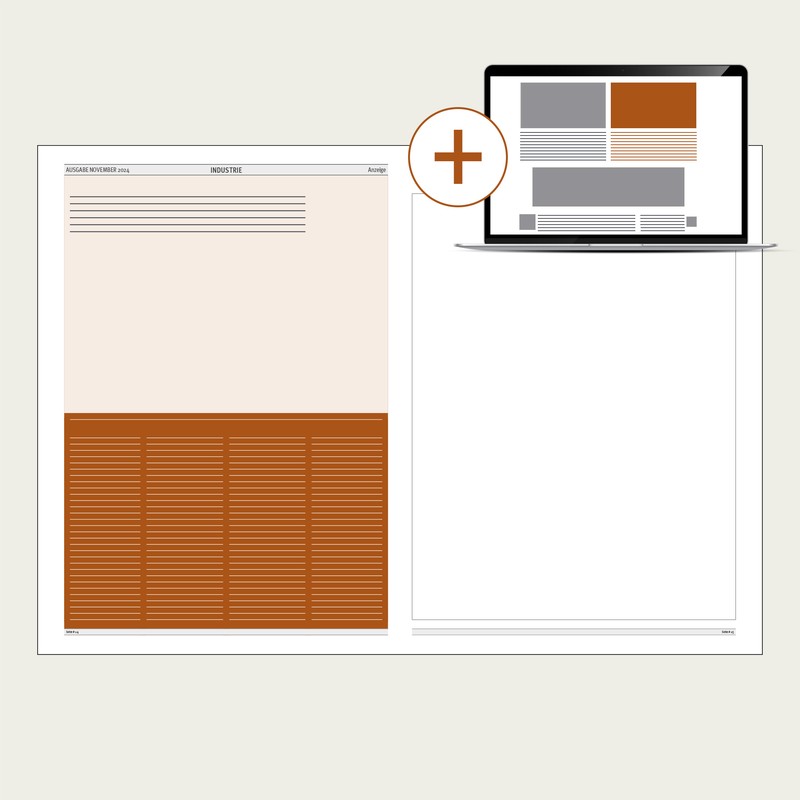 Advertorial_1_1_Seite_Illustration_+Online