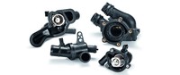 Mahle Thermostate