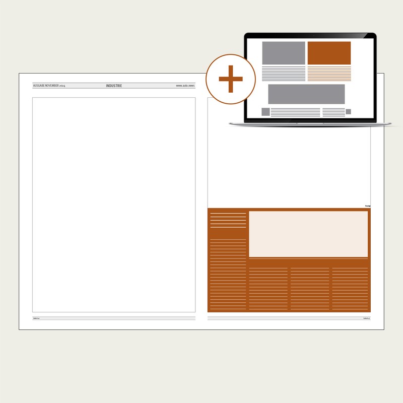 Advertorial_1_2_Seite_Illustration_+Online