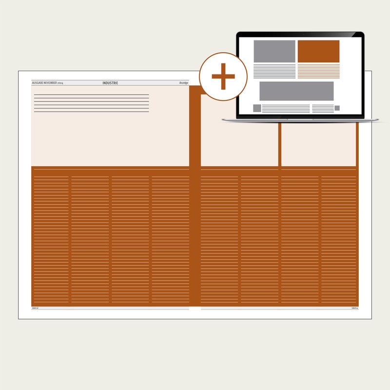 Advertorial_2_1_Seite_Illustration_+Online