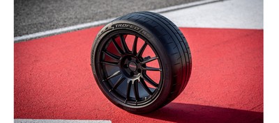 Pirelli P Zero Trofeo RS